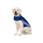 Small Animal Habitat Accessories