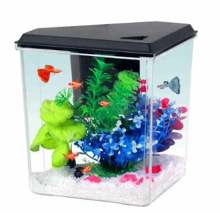 Aqua Culture Plastic 1 Gallon Aquarium with Accessories, Black, 10.1''L x 6.76''W x 8.12''H