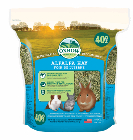 Oxbow Premium Alfalfa Hay Small Animal Food for Rabbits & Small Animals- 40 oz