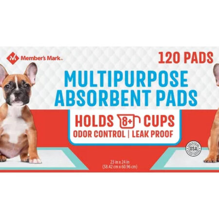 Member's Mark Multipurpose Absorbent Training Pads 120 Count